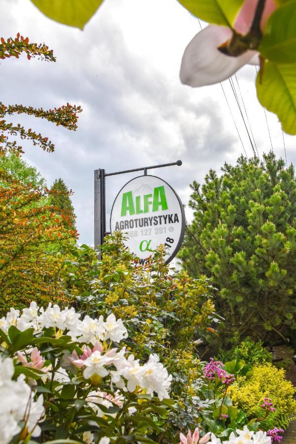 Agroturystyka Alfa Bystra  Exterior photo
